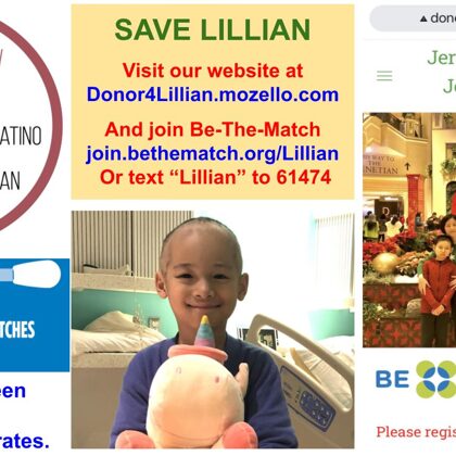 donor4Lillian website