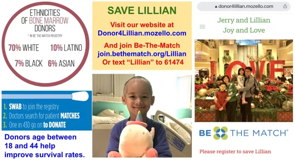 donor4Lillian website